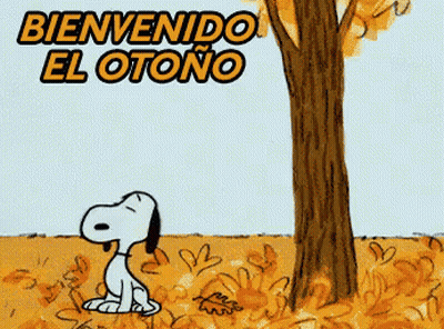 Mascot Wearing Community Trust Shirt GIF