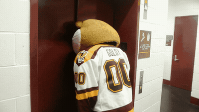 Mascot Wearing Goldy Jersey GIF