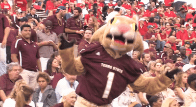 Mascot Wearing Jersey Number 1 GIF