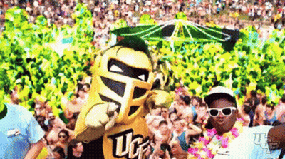 Mascot Wearing Sunglasses And Lei In Front Of Crowd GIF