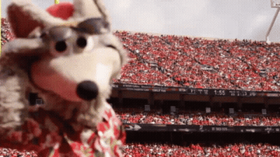 Mascot Wearing Sunglasses In Front Of Crowd At Sports Game GIF