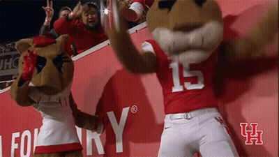 Mascot With Number 15 On Jersey GIF