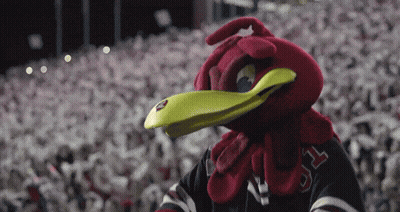 Mascot With Yellow Beak Wearing NC Jersey GIF