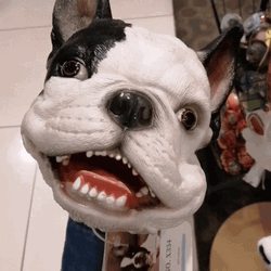 Mask French Dog Barking  GIF