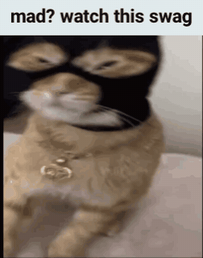 Masked Cat With Necklace Mad? Watch Swag GIF