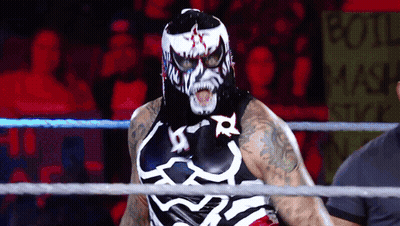 Masked Wrestler With Body Mask Sign GIF
