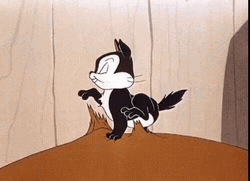 Massage Cat Looney Tunes