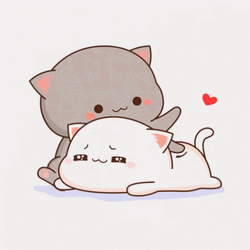 Massage Peach Goma Cat GIF