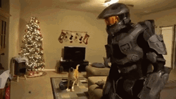 Master Chief Scared The Dog GIF
