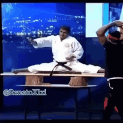 Master Martial Artist Fail GIF