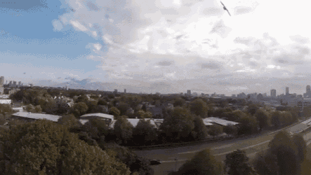 Master Of The Sky GIF