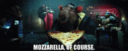 Master Splinter Tmnt Mozzarella Of Course Pizza