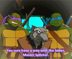 Master Splinter Tmnt Way With The Ladies