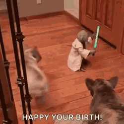 Master Yoda Happy Birthday Meme