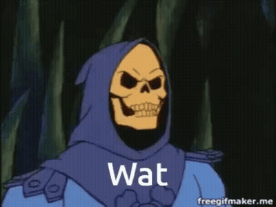 Masters Of Universe Skeletor In Hood Says Wat GIF
