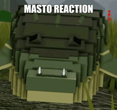Masto Reaction Is Written On The Bottom Of A Picture Of A Turtle GIF