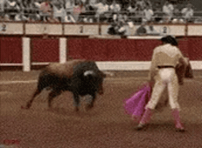 Matador Slaughtering Bull with Pink Cape