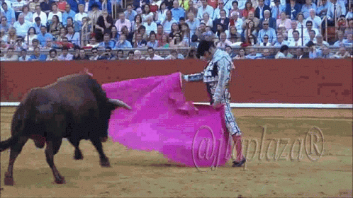 Matador Slaughtering Bull With Plaza Text GIF