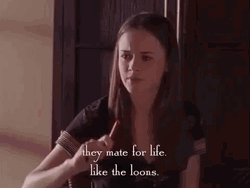 Mate For Life Rory Gilmore GIF