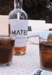 Mates Gold Rum Dice Game GIF