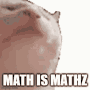 Math Is Mathz Meme GIF