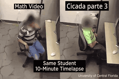 Math Video Cicada Part 3 Time Lapse GIF