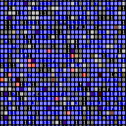 Matrix Code Hacking Binary Scalar GIF