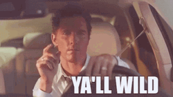 Matthew Mcconaughey You All Wild GIF