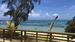 Mauritius Island Summer Beach