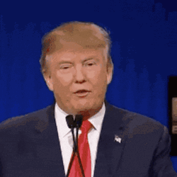 Maury Lie Detector Donald Trump GIF