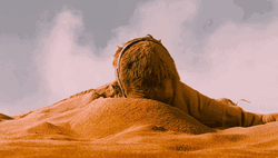 Max Rockatansky Of Mad Max Fury Road Slept On Desert Sand GIF