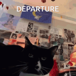 Maxwell Cat Meme Departure GIF