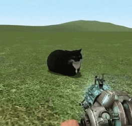 Maxwell Cat Meme Exploding Bomb GIF