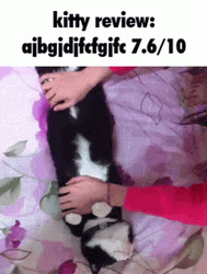 Maxwell Cat Meme Hand Roll GIF