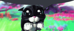 Maxwell Cat Meme Innocent Eyes  GIF
