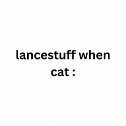 Maxwell Cat Meme Lancestuff When Cat GIF