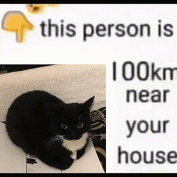 Maxwell Cat Meme Picture GIF