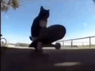 Maxwell Cat Meme Skating  GIF