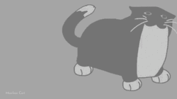 Maxwell Cat Meme Tail Wag GIF