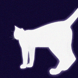 Maxwell Cat Meme White Silhoute GIF