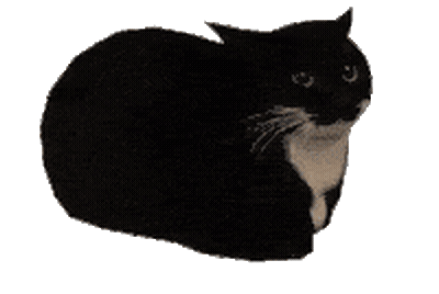 Maxwell Spinning Cat GIF