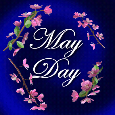 May Day Pink Flower Background GIF