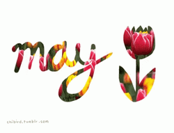 May Flowers Animation GIF