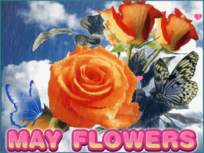 May Flowers Greeting Card With Roses And Butterflies GIF