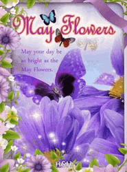 May Flowers Purple Butterfly GIF