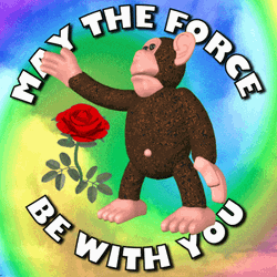 May The Force Be With You Monkey Animation GIF