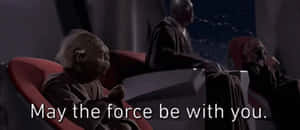 May The Force Be With You Yoda And Windu GIF