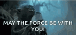 May The Force Be With You Yoda Blessing GIF