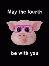 May The Fourth Be With You Cool Pig GIF
