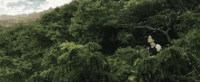 May The Odds Be Ever In Your Favor Aim Sky Arrow GIF